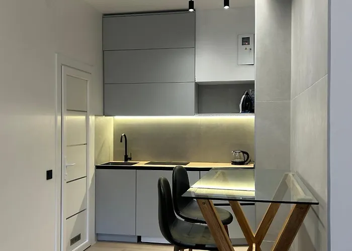 Apartment Miamo студія з терасою вул кубійовича 20 *